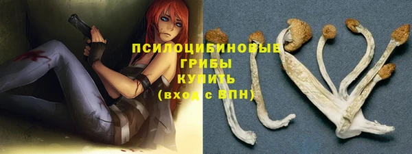 крисы Верхний Тагил