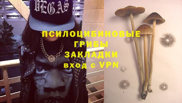 PSILOCYBIN Верея