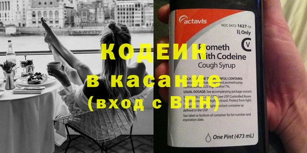 крисы Верхний Тагил