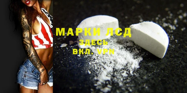 PSILOCYBIN Верея