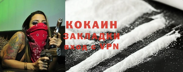 крисы Верхний Тагил