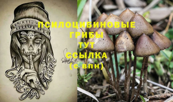 PSILOCYBIN Верея