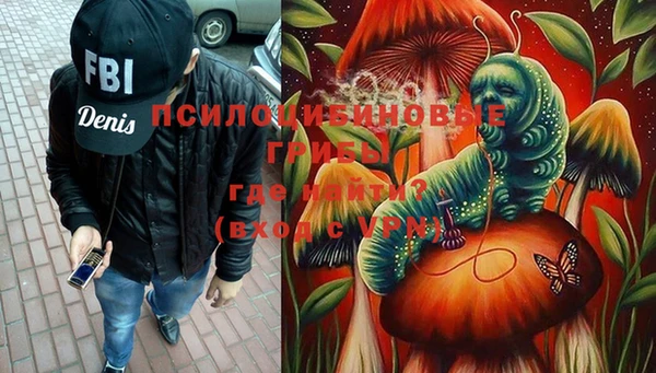 PSILOCYBIN Верея